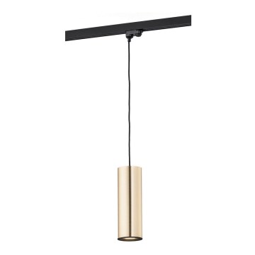 Argon 4318 - Candelabro suspenso para sistema de carril DELF 1xE27/15W/230V latão