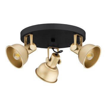 Argon 6243 - Foco LENORA 3xE14/7W/230V dourada/preto