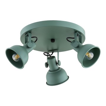 Argon 6265 - Foco LENORA 3xE14/7W/230V verde