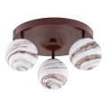 Argon 6292 - Iluminação de teto FABIO 3xE14/7W/230V alabastro castanho