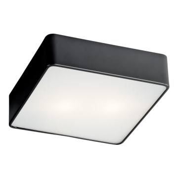 Argon 654 - Luz de teto ONTARIO 2xE27/15W/230V