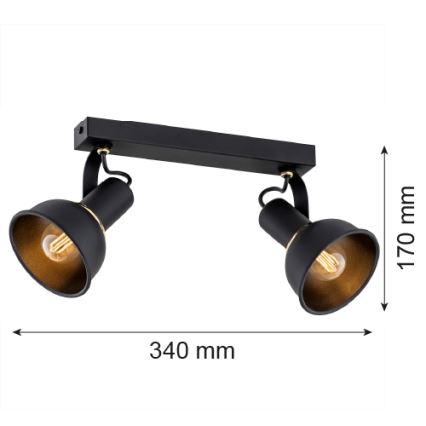 Argon 7037 - Foco TWIST 2xE14/7W/230V preto/dourado