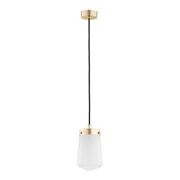 Argon 8004 - Candelabro suspenso PASADENA 1xE27/15W/230V dourado/branco