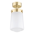 Argon 8005 - Candelabro montado à superfície PASADENA 1xE27/15W/230V dourado/branco
