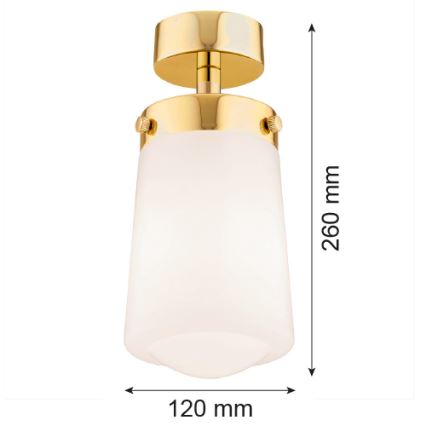 Argon 8005 - Candelabro montado à superfície PASADENA 1xE27/15W/230V dourado/branco