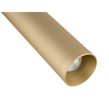 Argon 8326 - Foco de parede LED RIO LED/4,2W/230V 3000K dourada