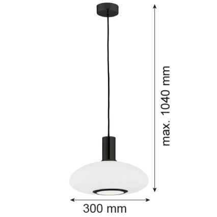 Argon 8565 - Candeeiro suspenso SAGUNTO PLUS 1xE27/15W/230V diâmetro 30 cm preto