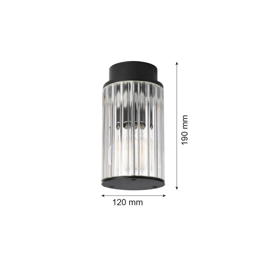 Argon 8773 - Iluminação de teto exterior NORFOLK 1xE27/15W/230V IP44 preto