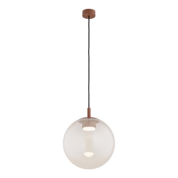 Argon 8829 - Candeeiro suspenso SACRAMENTO 1xGX53/8W/230V transparente/castanho