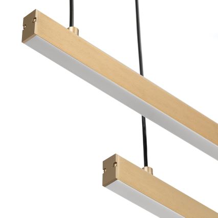 Argon 8839 - Candeeiro suspenso LED MIAMI LED/74W/230V 3000K dourado