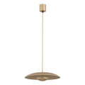 Argon 8869 - Lustre LED suspenso por cabo BOLTON LED/12,5W/230V 3000K dourado