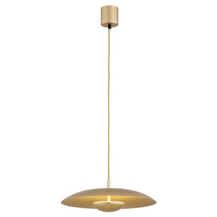 Argon 8869 - Lustre LED suspenso por cabo BOLTON LED/12,5W/230V 3000K dourado