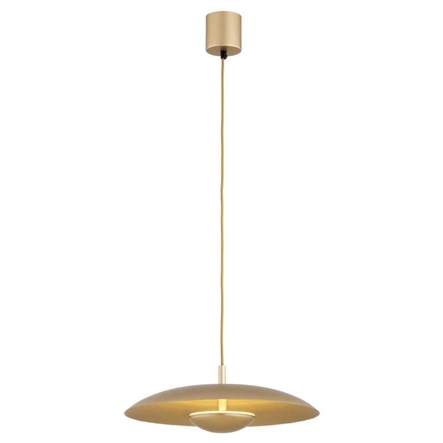Argon 8869 - Lustre LED suspenso por cabo BOLTON LED/12,5W/230V 3000K dourado