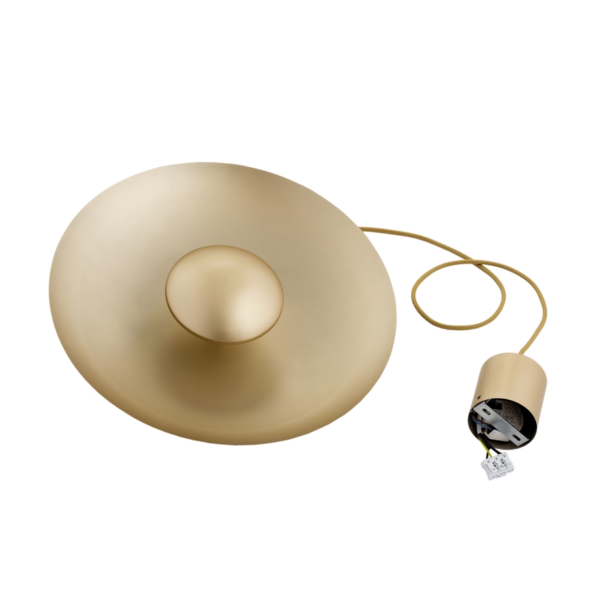 Argon 8869 - Lustre LED suspenso por cabo BOLTON LED/12,5W/230V 3000K dourado