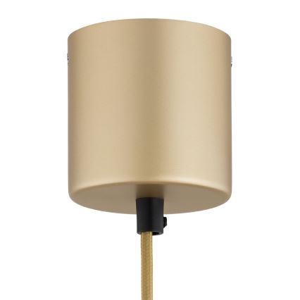 Argon 8869 - Lustre LED suspenso por cabo BOLTON LED/12,5W/230V 3000K dourado