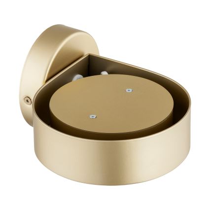 Argon 8899 - Aplique de parede LOTUS 1xGX53/12W/230V dourado