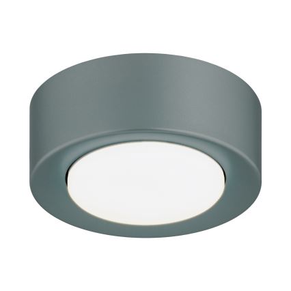 Argon 8917 - Candeeiro de tecto ELORA 1xGX53/7W/230V Ø 11 cm cinzento