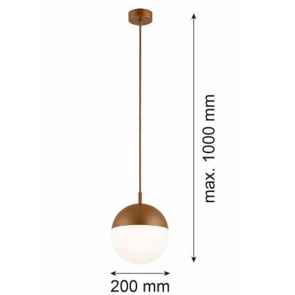 Argon 8998 - Candeeiro pendente de exterior com cabo LIV 1x E27/15 W/230 V IP44 castanho