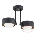 Argon - Vidro sobressalente para o lustre MASSIMO PLUS G9