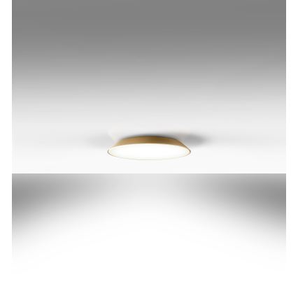 Artemide AR 0241320A - Plafon LED FEBE 4xLED/30W/230V