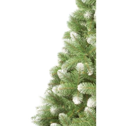 Árvore de Natal 250 cm pinheiro