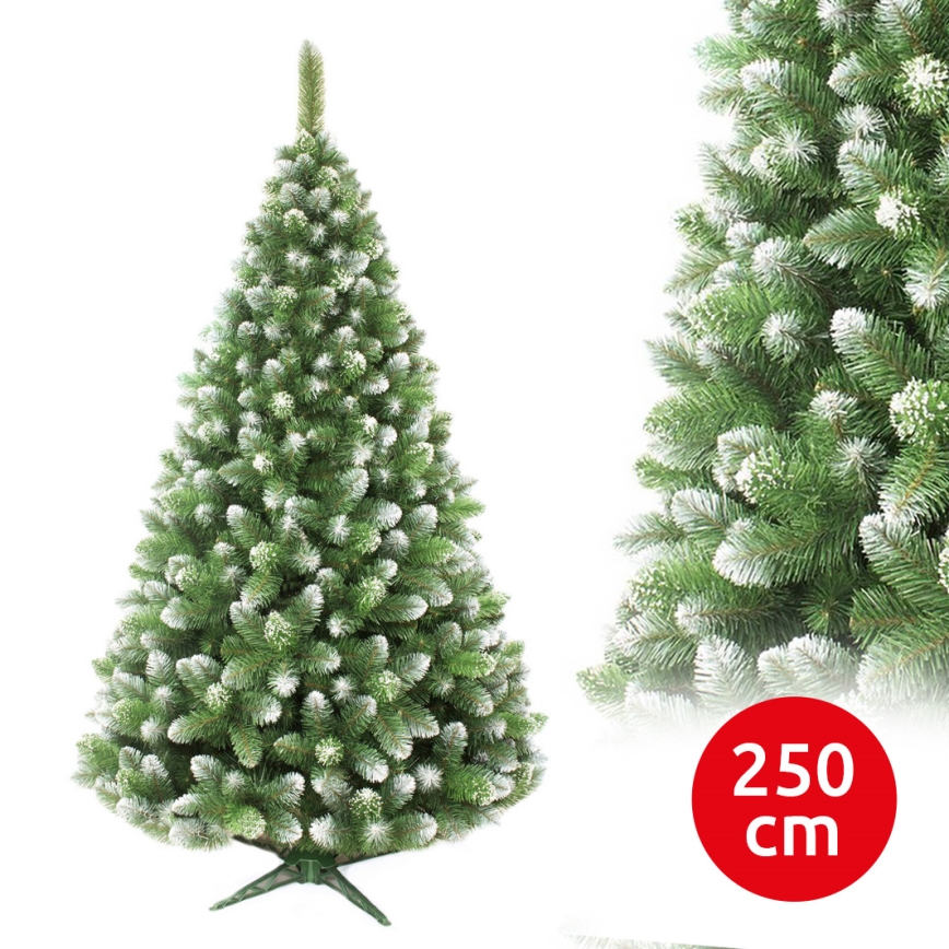 Árvore de Natal de pinheiro, 250 cm