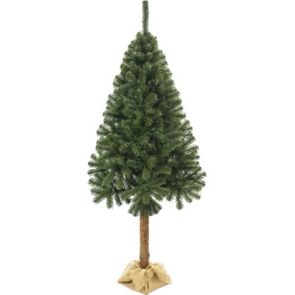 Árvore de Natal em tronco 220 cm abeto