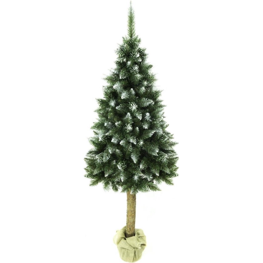 Árvore de Natal em tronco 220 cm abeto