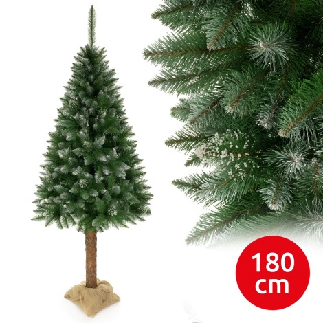 Árvore de Natal num tronco 180 cm abeto
