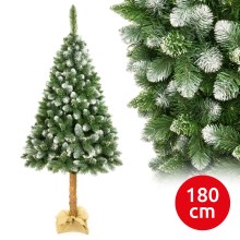 Árvore de Natal num tronco 180 cm pinheiro
