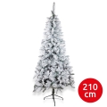 Árvore de Natal SCOTLAND 210 cm, abeto