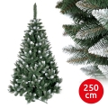 Árvore de Natal TEM 250 cm, pinheiro