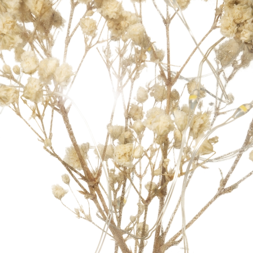 Atmosphera - Candeeiro de mesa LED MICRO LED/2xAAA