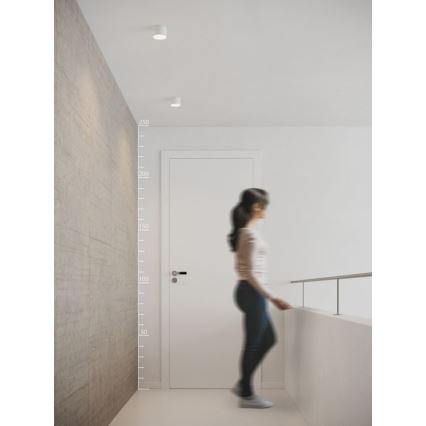 Azzardo AZ2252 - Luz de teto LED MONZA 1xLED/5W/230V