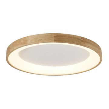 Azzardo AZ2698 - Candeeiro de tecto SILVAM LED/50W/230V