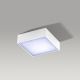 Azzardo AZ2781 - Luz de teto LED FALCO LED/12W/230V