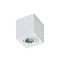 Azzardo AZ2822 - Iluminação de teto de casa de banho BRANT 1xGU10/50W/230V IP44