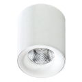 Azzardo AZ2845 - Candeeiro de tecto LED MANE LED/10W/230V