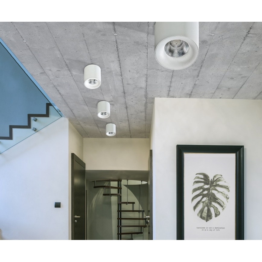 Azzardo AZ2845 - Candeeiro de tecto LED MANE LED/10W/230V