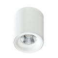 Azzardo AZ2845 - Luz de teto LED MANE 1xLED/10W/230V