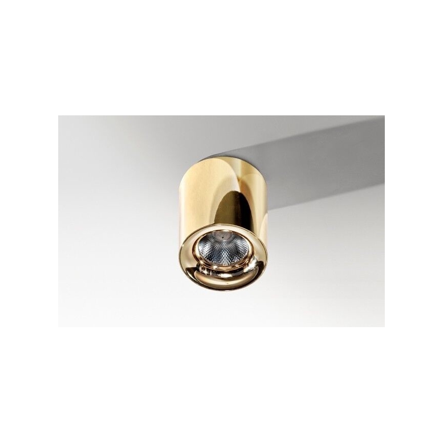 Azzardo AZ2846 - Candeeiro de teto LED MANE 10W/230V