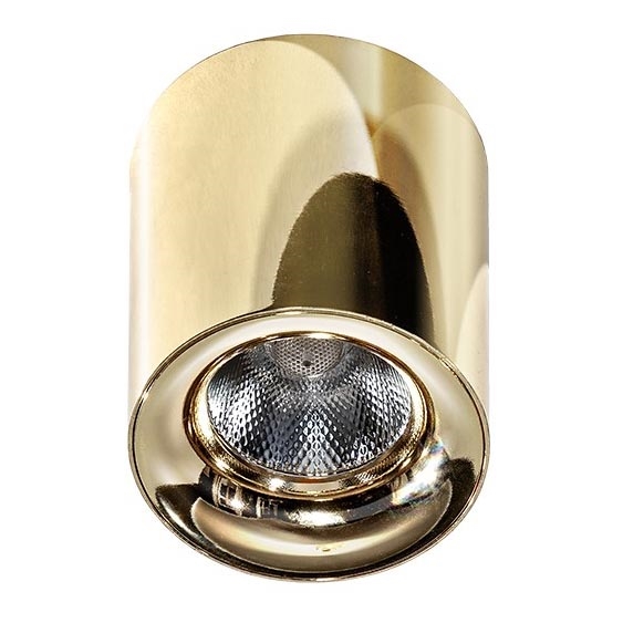 Azzardo AZ2846 - Luz de teto LED MANE 1xLED/10W/230V