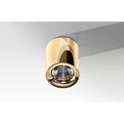 Azzardo AZ2846 - Luz de teto LED MANE 1xLED/10W/230V