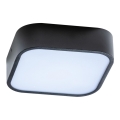 Azzardo AZ4146 - Iluminação de teto de casa de banho LUCIE 2xE27/20W/230V IP44