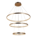Azzardo AZ4429 - Candelabro suspenso LED BRIGHTON LED/55W/230V dourado
