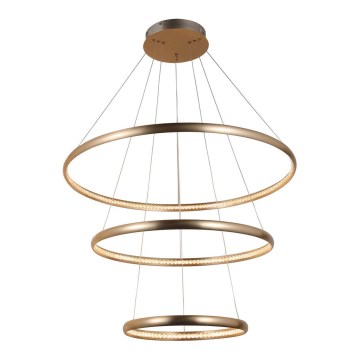 Azzardo AZ4429 - Candelabro suspenso LED BRIGHTON LED/55W/230V dourado