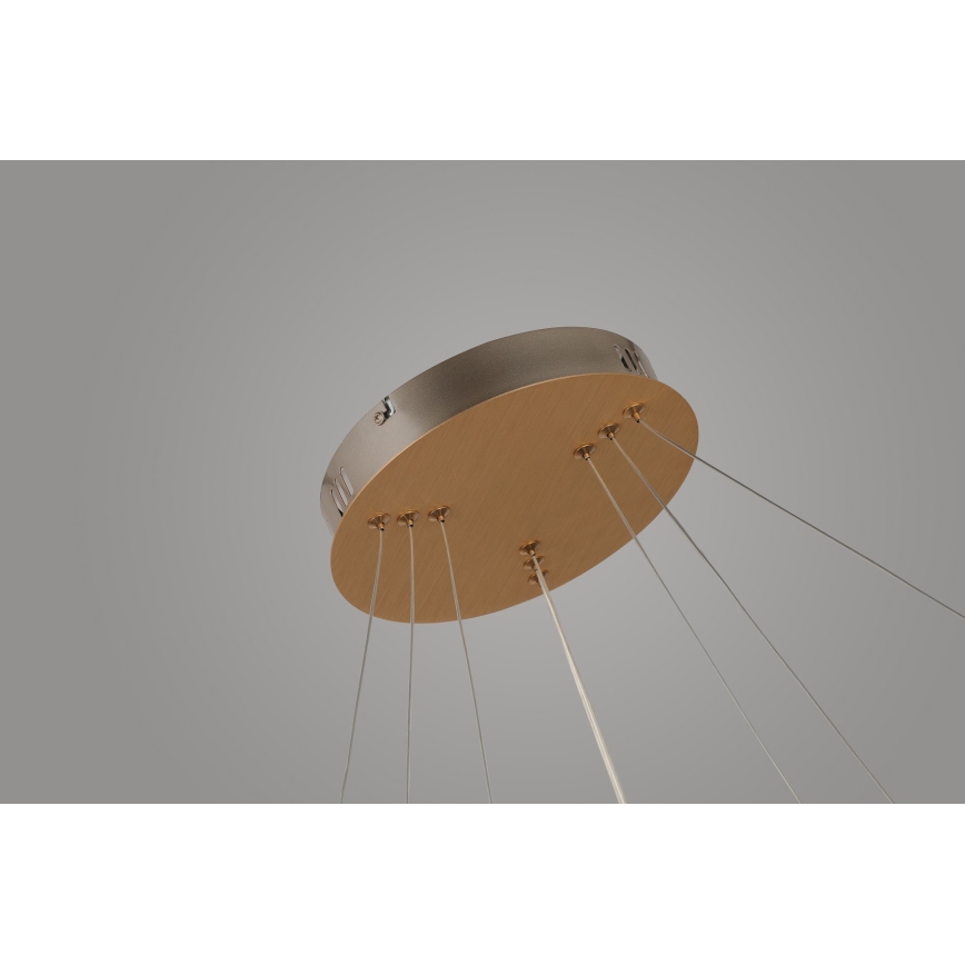 Azzardo AZ4429 - Candelabro suspenso LED BRIGHTON LED/55W/230V dourado