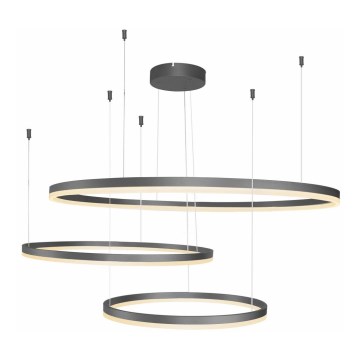 Azzardo AZ4707 - Lustre LED suspenso por cabo HALO LED/130W/230V preto