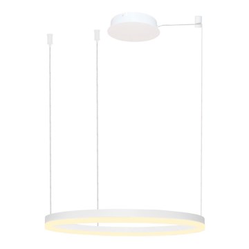 Azzardo AZ4959 - Candelabro suspenso LED com regulação HALO LED/56W/230V diâmetro 80 cm branco