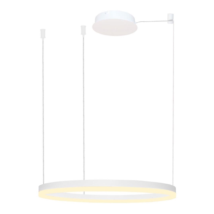 Azzardo AZ4959 - Candelabro suspenso LED com regulação HALO LED/56W/230V diâmetro 80 cm branco